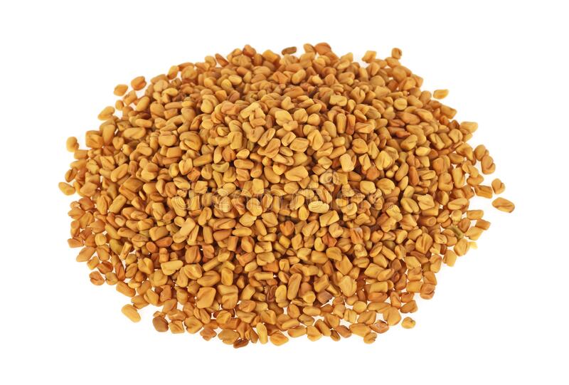 FENUGREEK SEED | Kevin Exporter